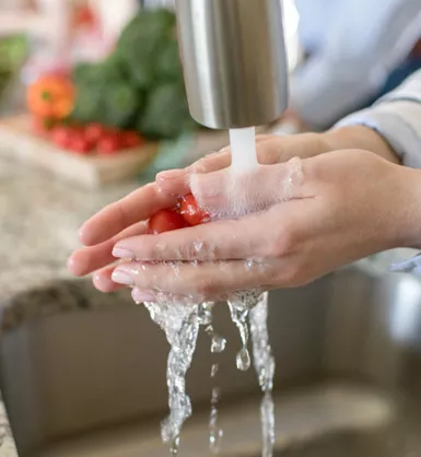 Woman washing tomatoes in a sink